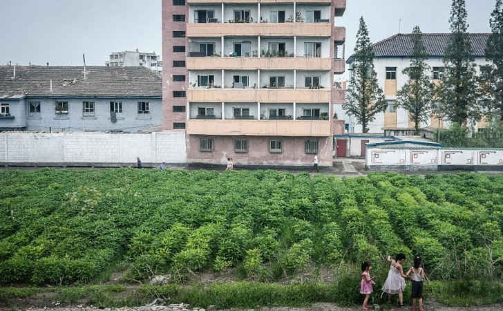 crops by a rundown tower block