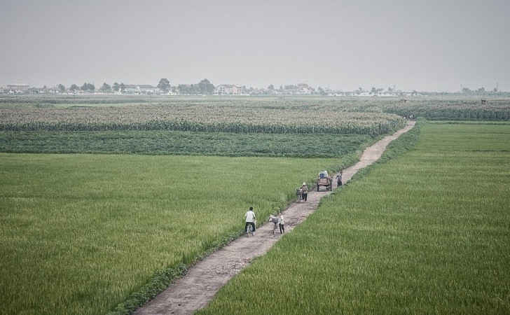 vast farmland